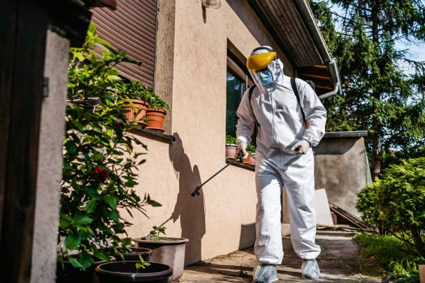 Best Emergency Pest Control  in Macon, IL