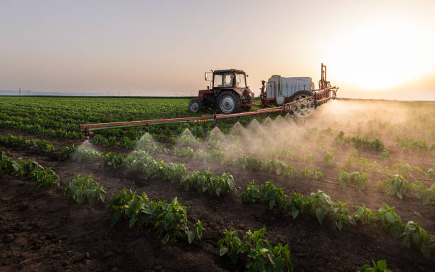 Insect Control in Macon, IL