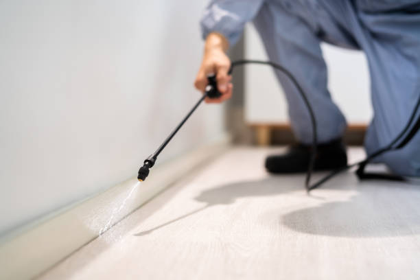 Pest Prevention Services in Macon, IL