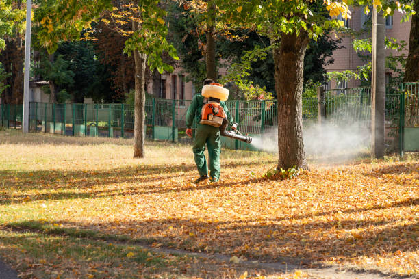 Best Local Pest Control Services  in Macon, IL